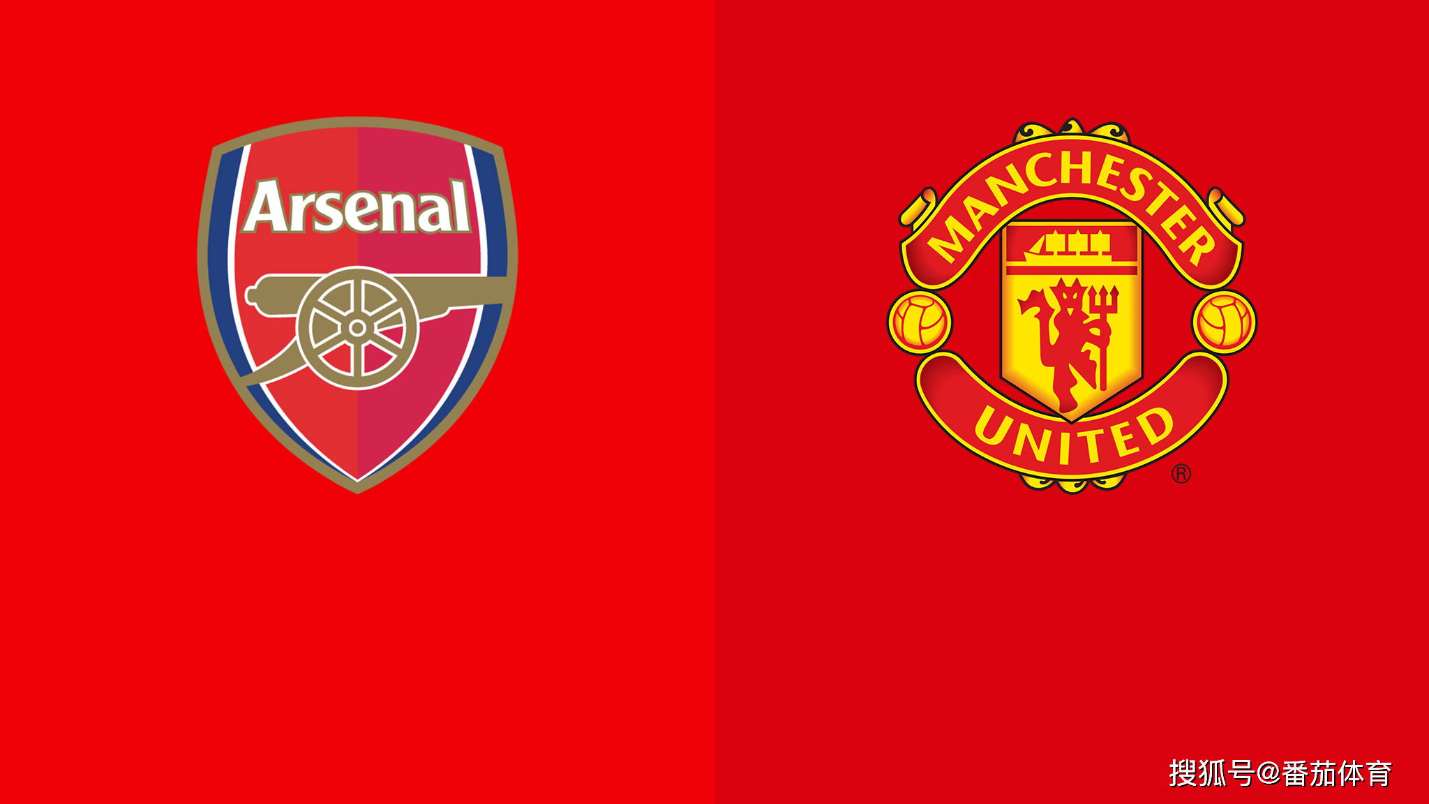 在NBA摸爬滚打，在发展联盟游刃有余